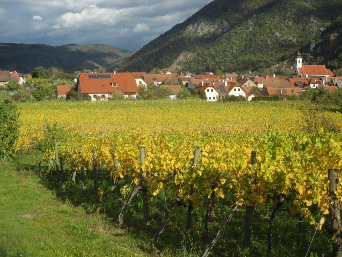 Gaestehaus Rudolf U. Sandra Denk Wösendorf Eksteriør bilde